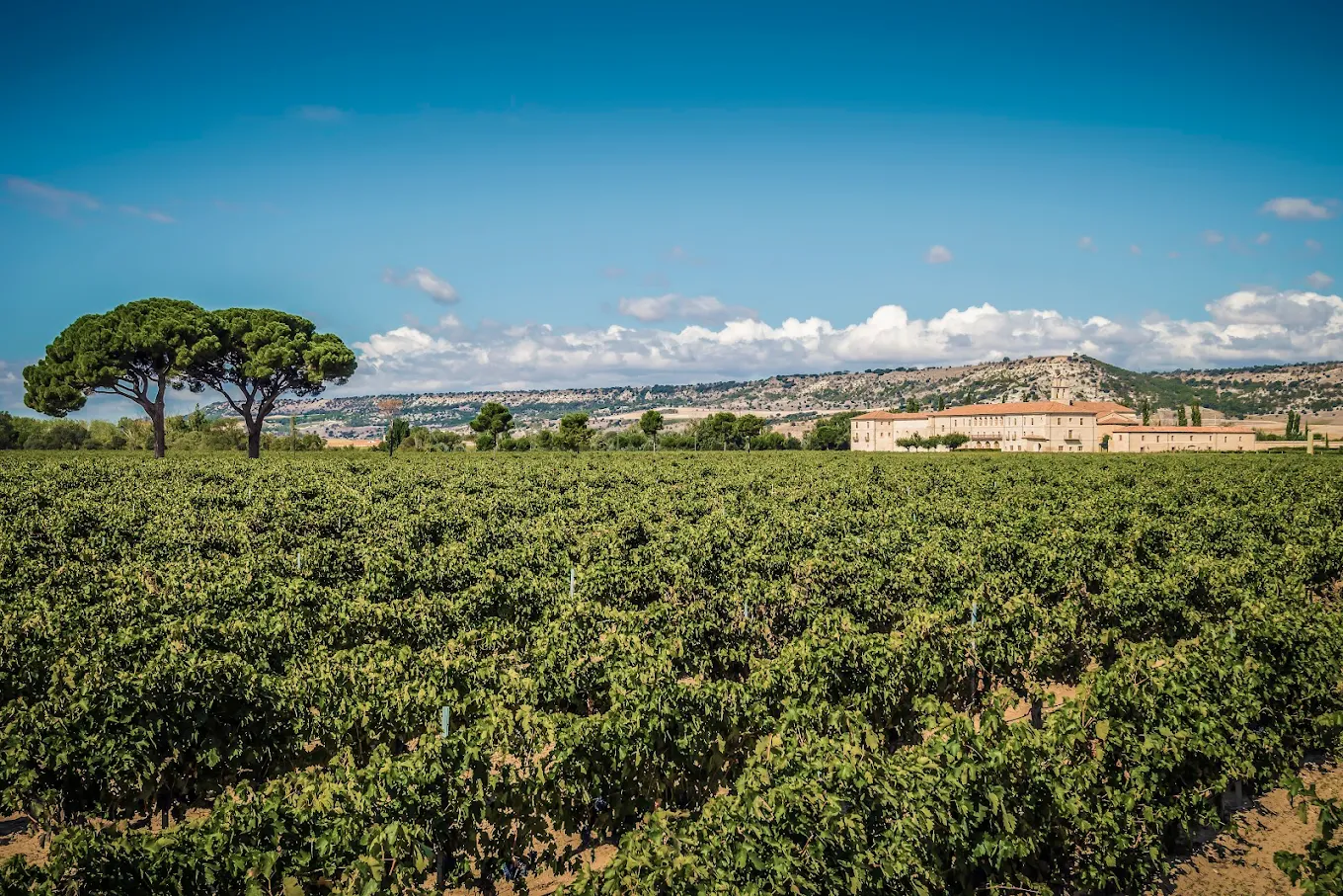 Abadia Retruerta