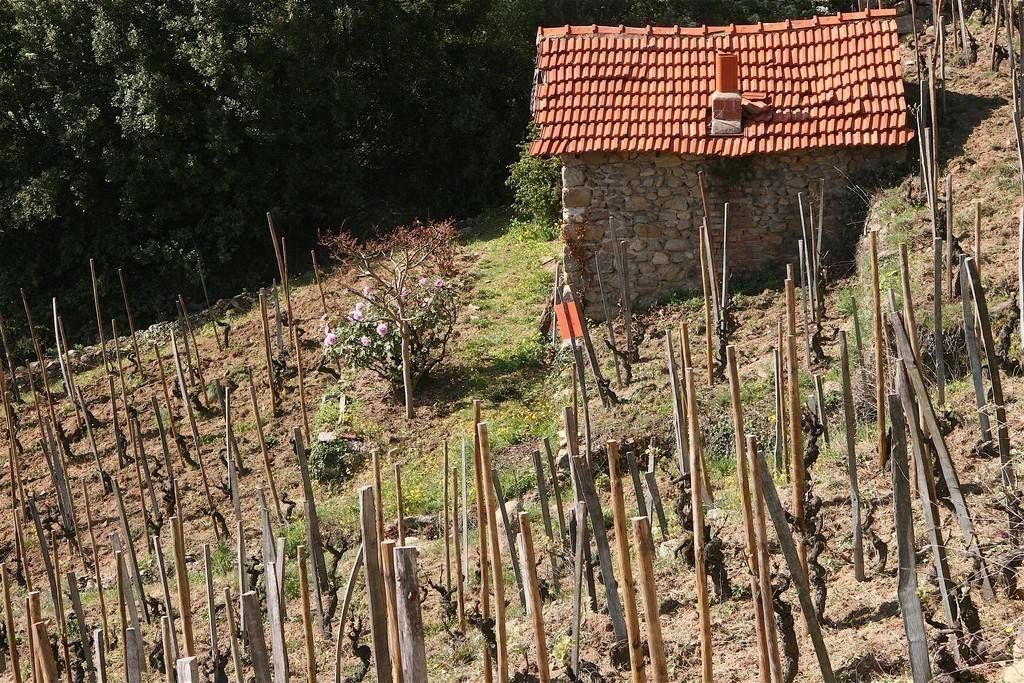 Domaine Balthazar