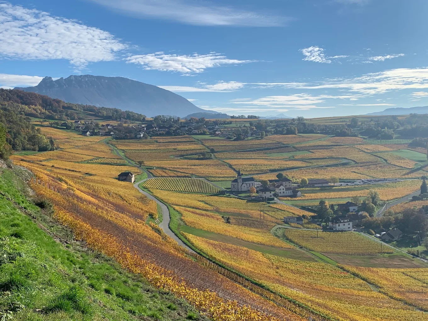 Domaine Carrel François et Fils