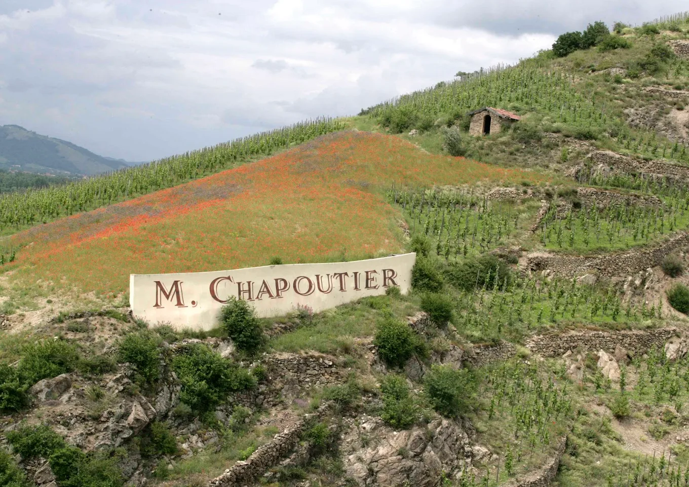 M. Chapoutier