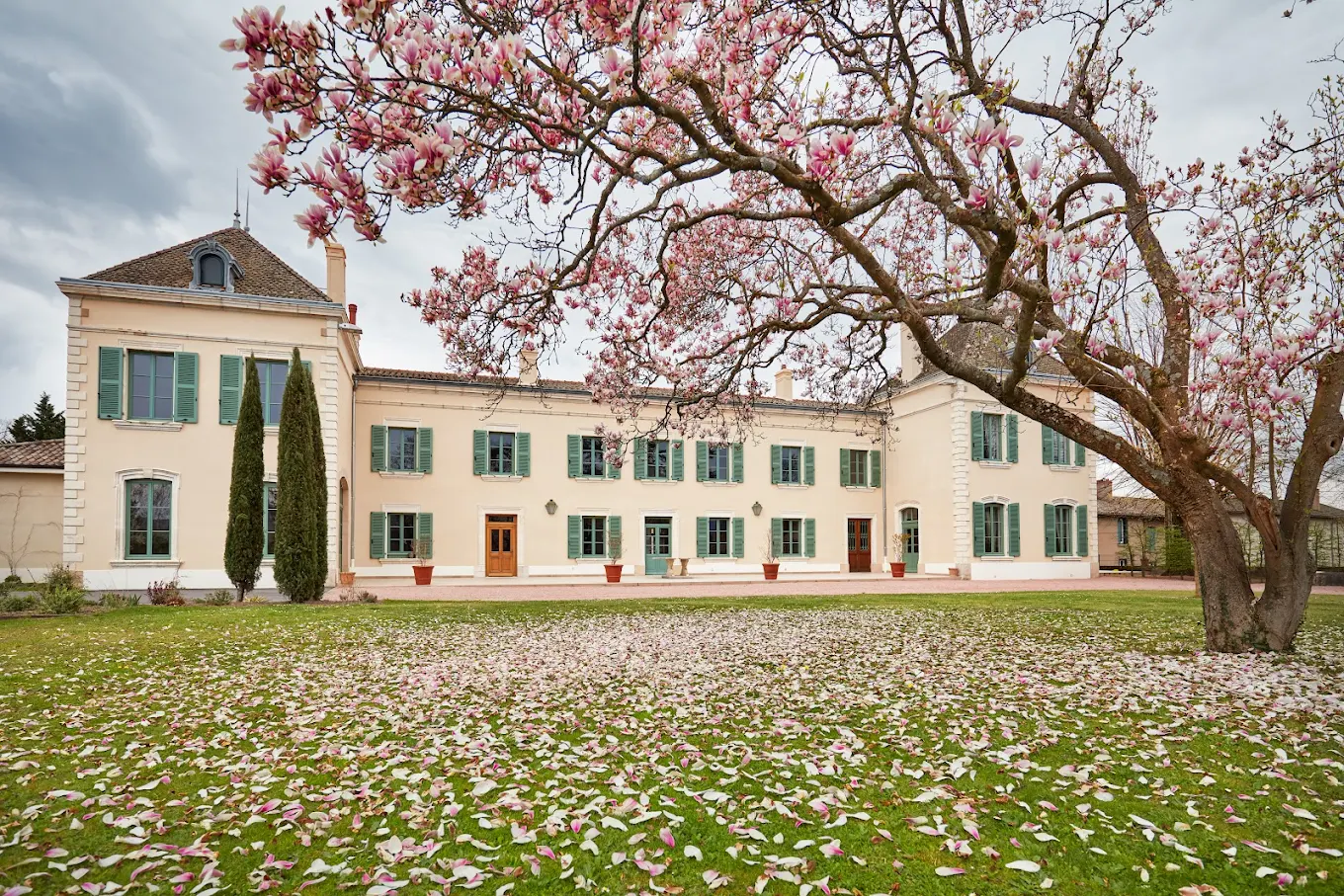 Chateau Des Jacques