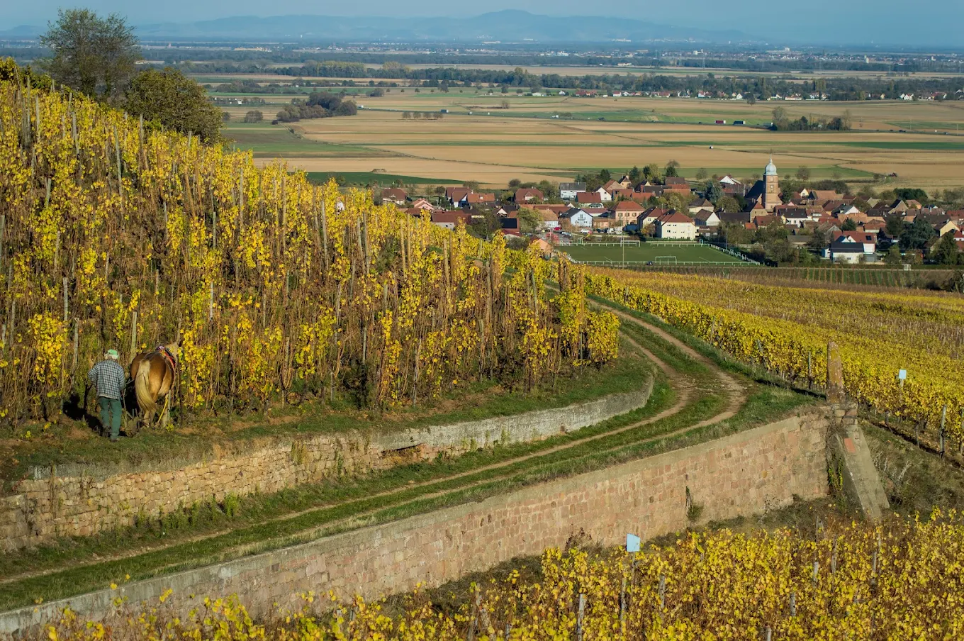 Domaine Dirler-Cadé