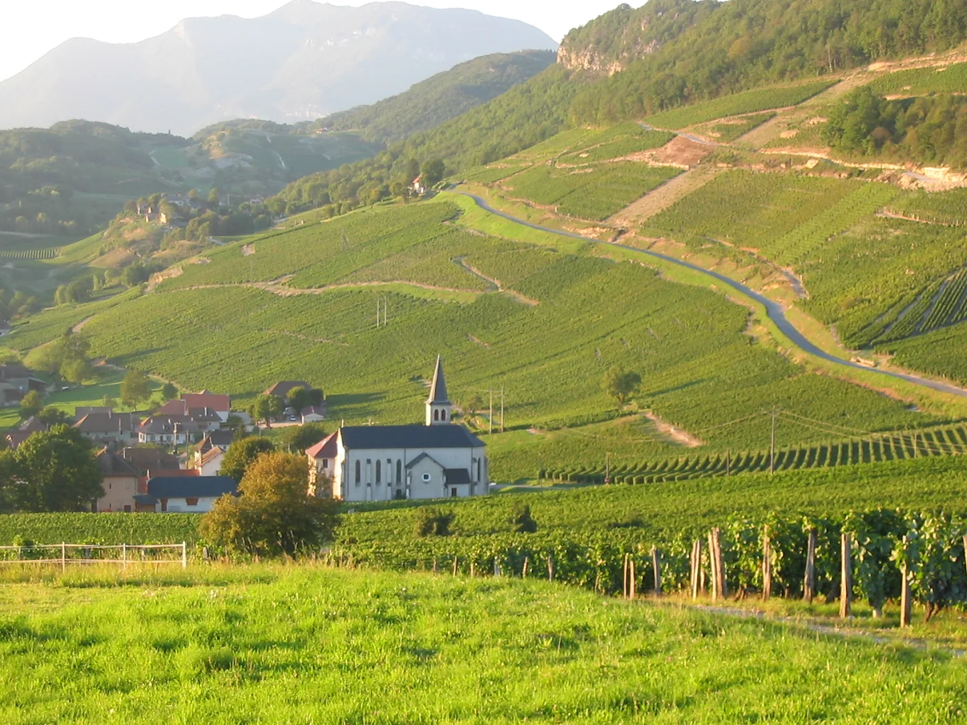 Domaine Dupasquier