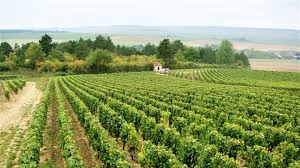 Domaine Duplessis
