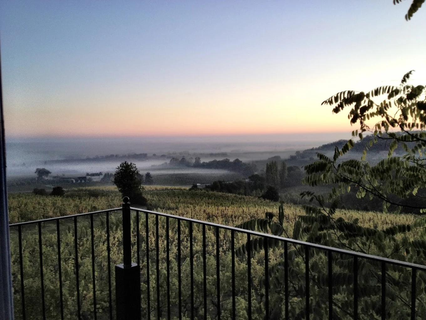 Chateau Feely