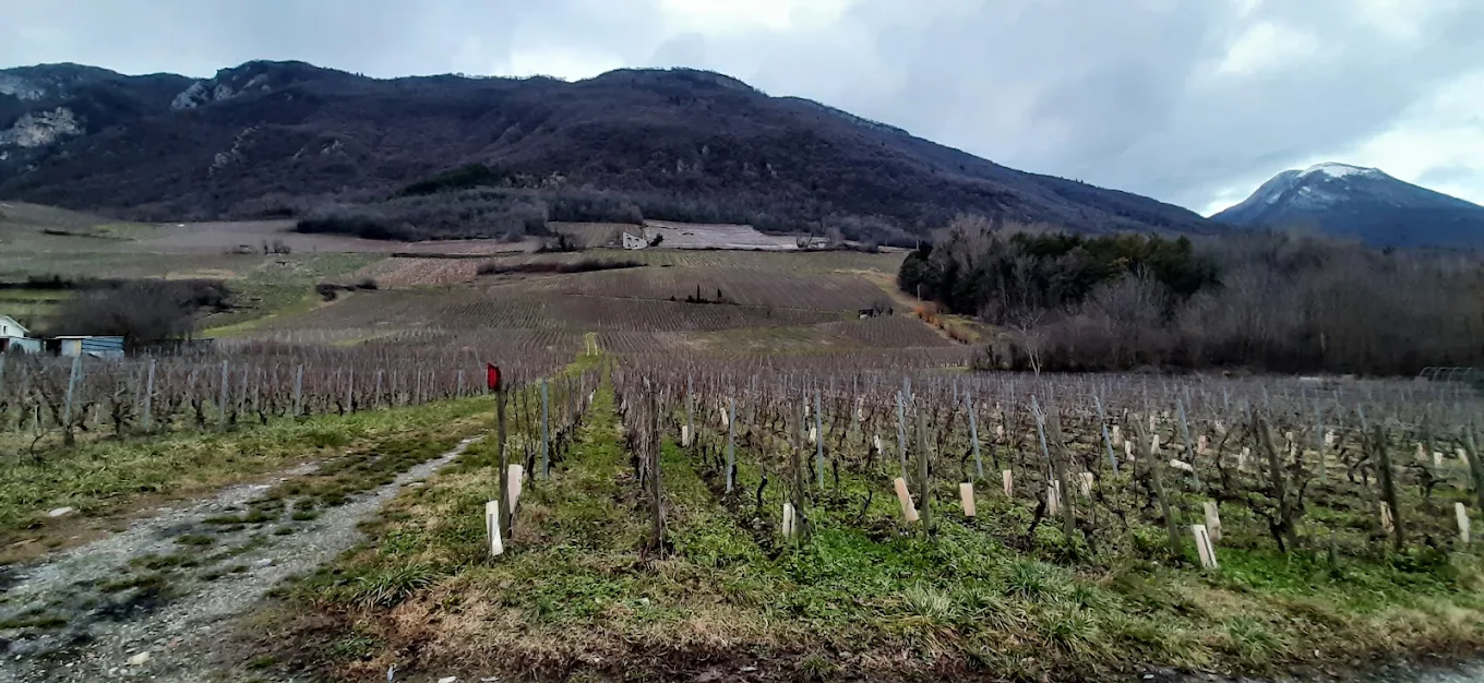 Domaine Genoux