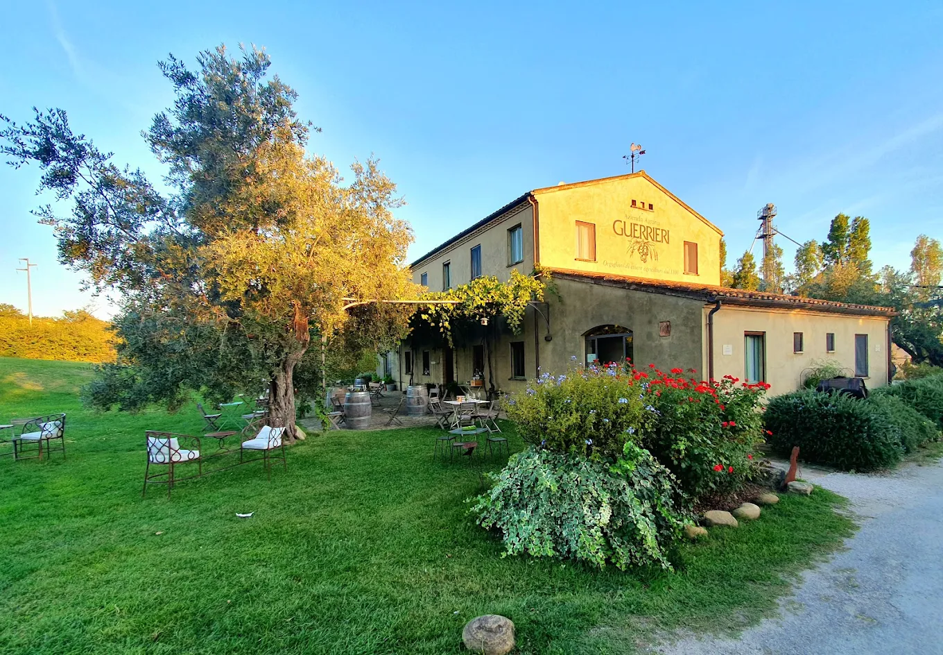 Azienda Guerrieri