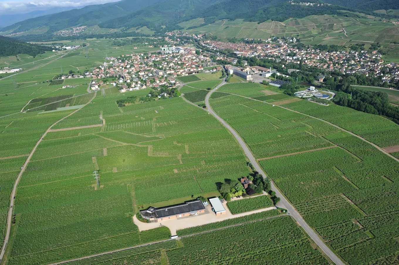 Domaine Zind-Humbrecht