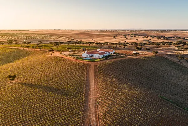 Herdade da Malhadinha Nova