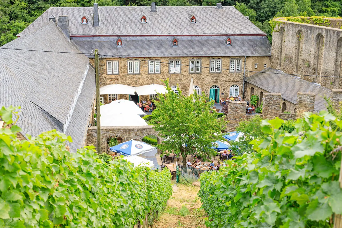 Weingut Kloster Mariënthal