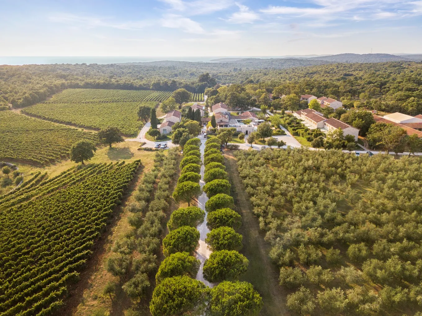 Meneghetti Wine Hotel & Winery