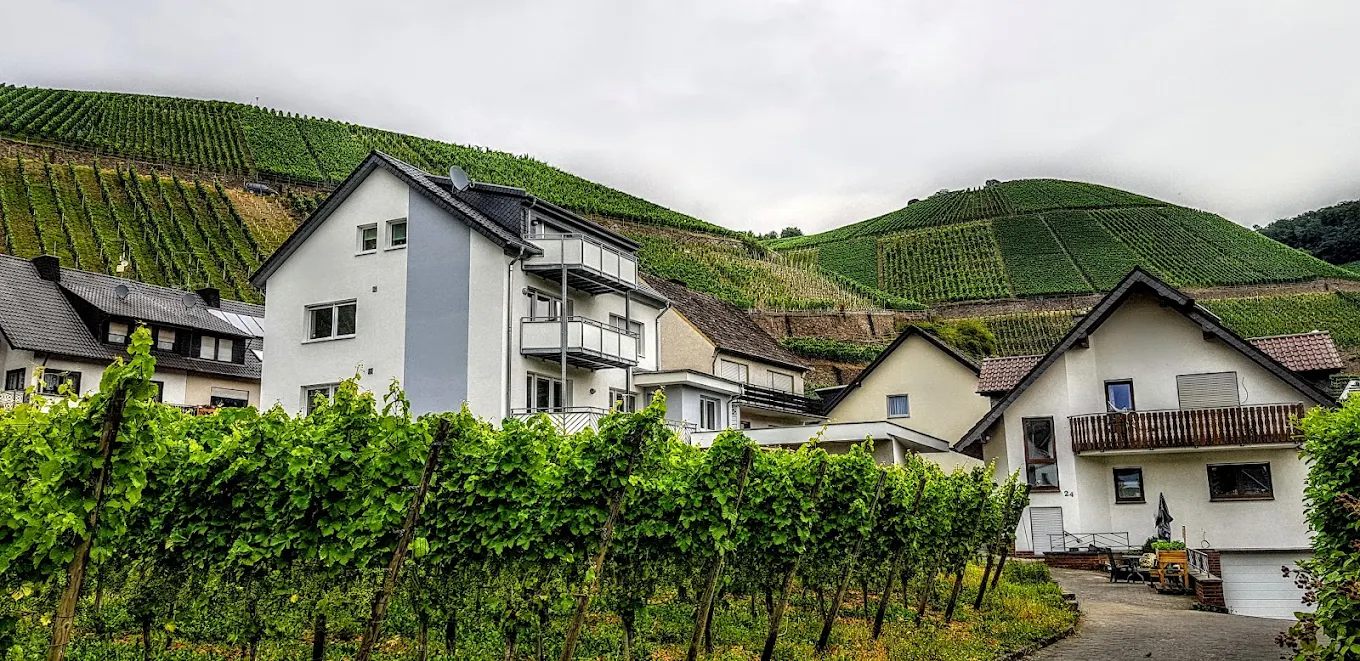 Weinhaus Meyer Näkel 