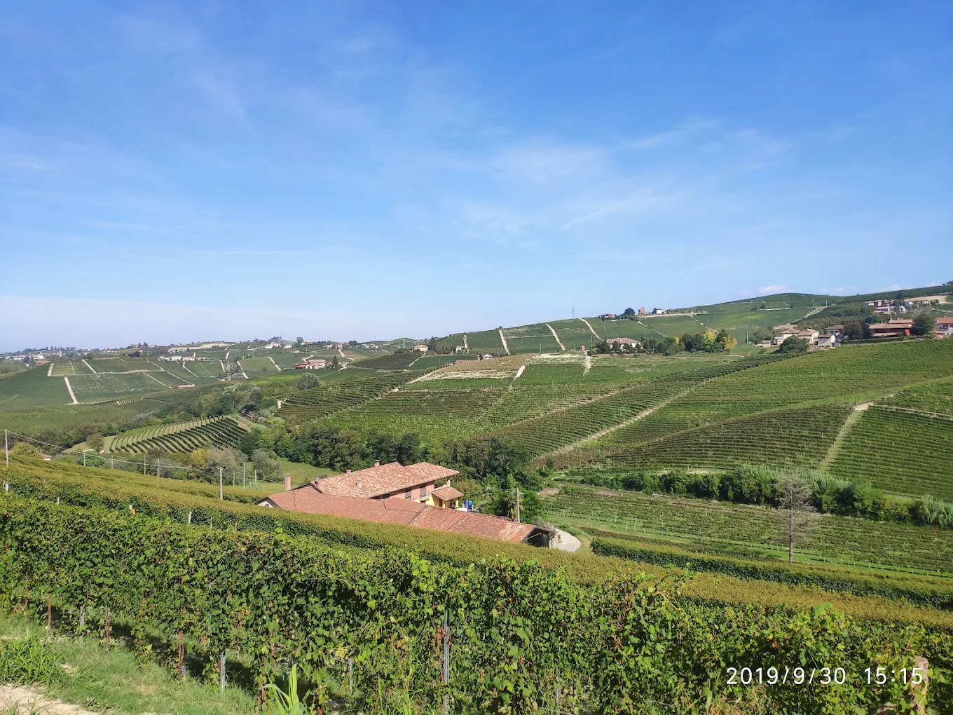 Azienda Agricola Ronchi