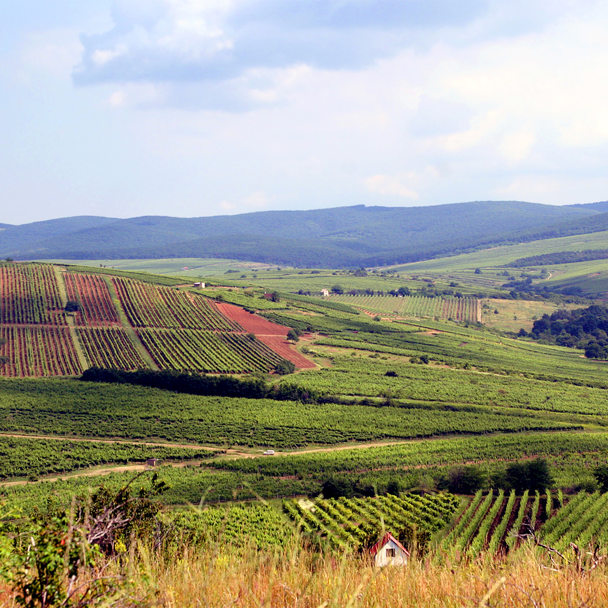 Royal Tokaji