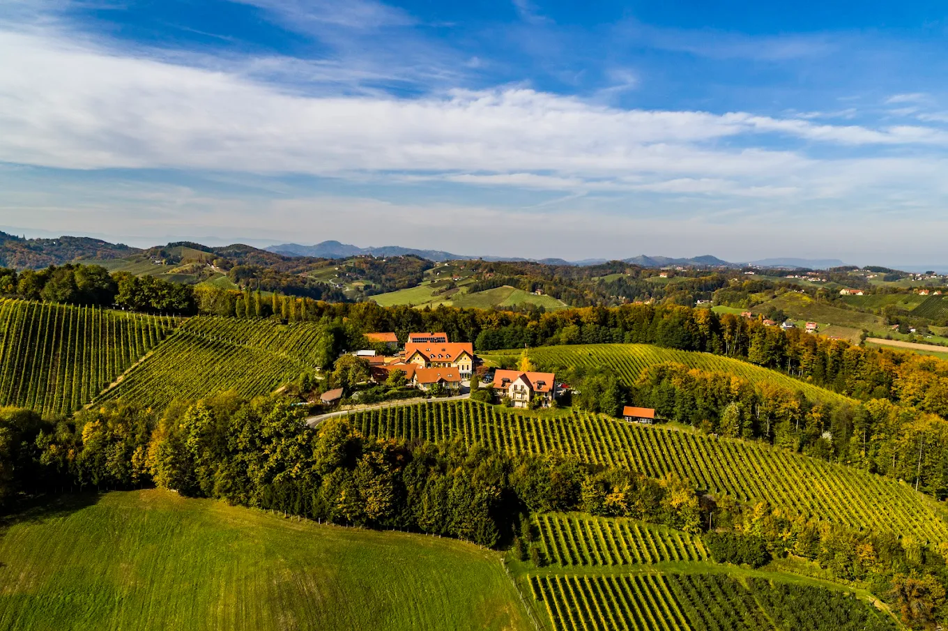 Weingut Sattlerhof 