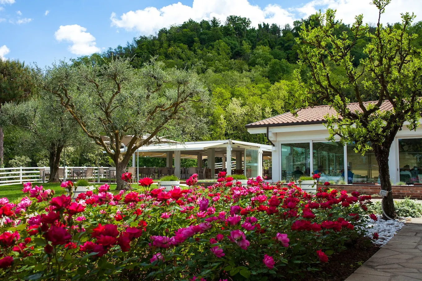 Cantina Sengiari
