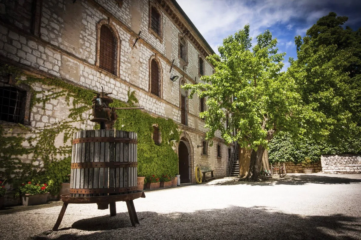 Fattoria Le Terrazze