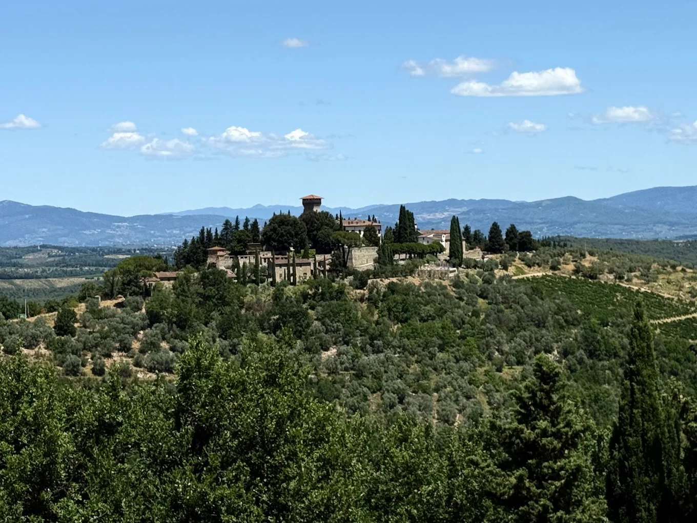 Château de Verrazzano