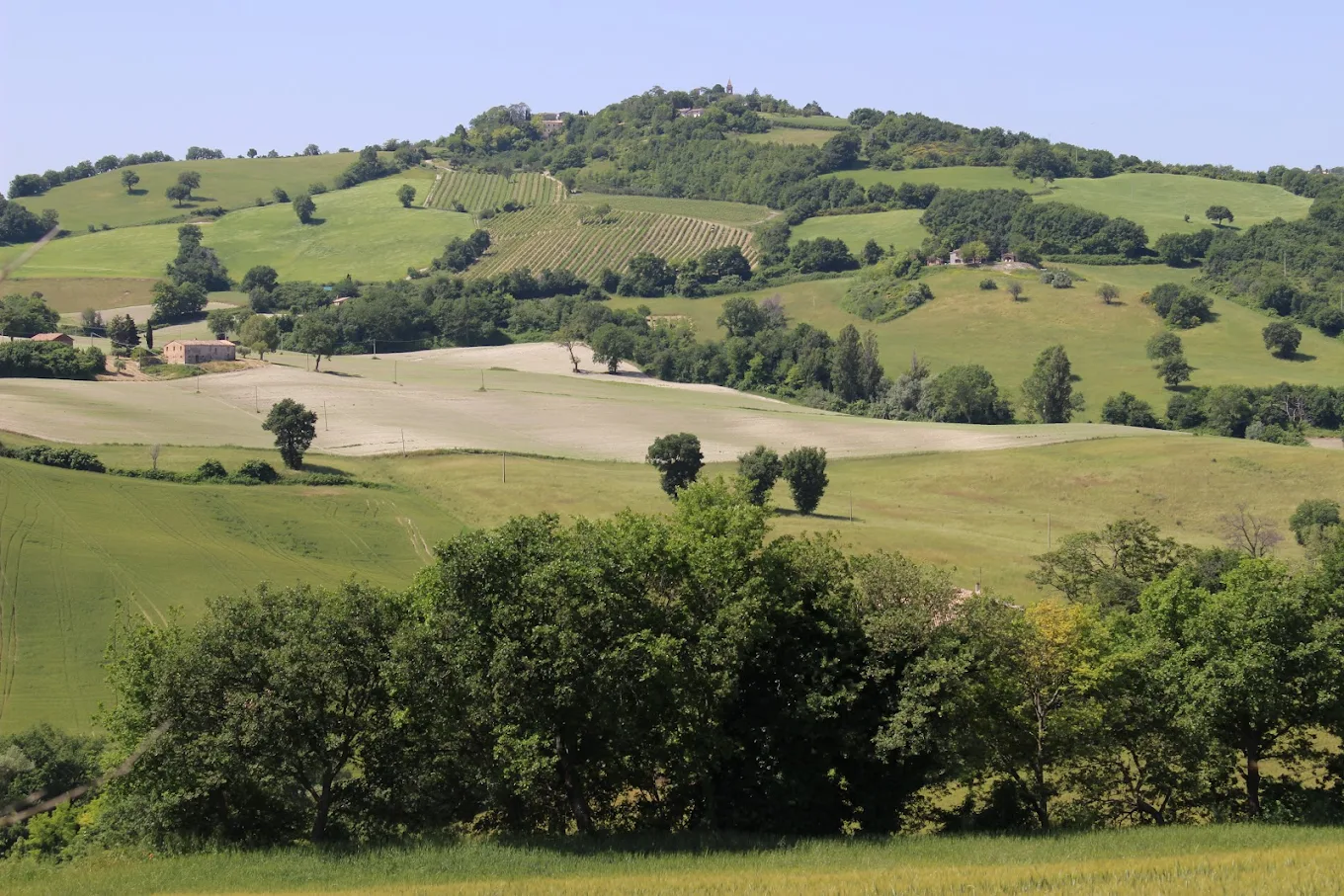 Villa Ligi