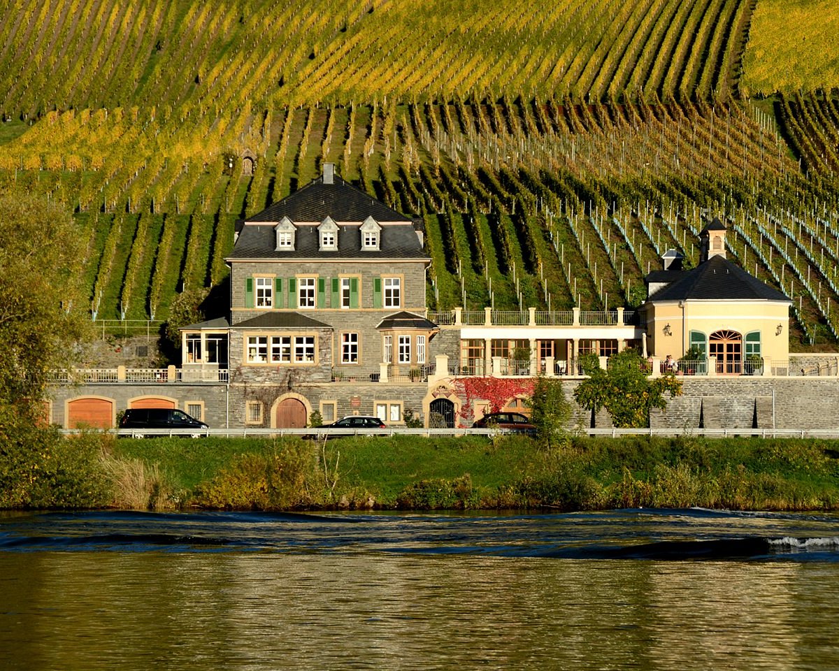 Weingut Dr. Loosen